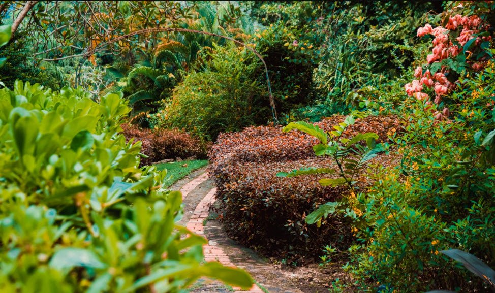 Andromeda Botanical Gardens, Saint Joseph, Barbados